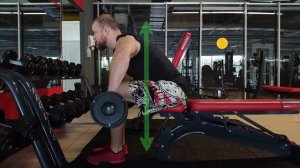 Махи сидя на заднюю дельту. Махи гантелями в наклоне. Техника выполнения