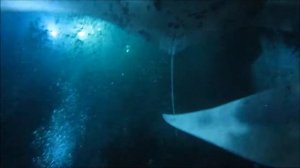 Manta ray madness in Hawaii - Amazing dive