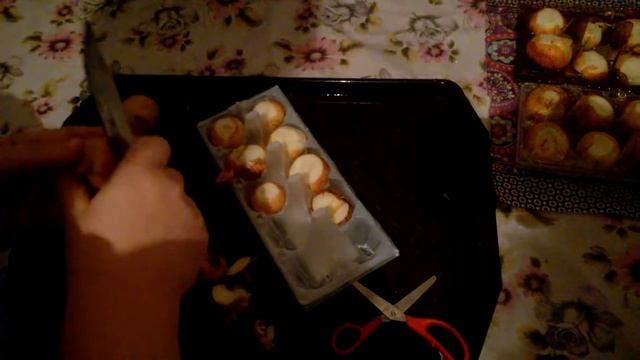 Лук на перо на подоконнике. Не выбрасываем контейнеры для яиц!!! смотреть онлайн