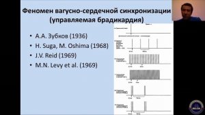 Альтернативный взгляд на механизмы регуляции сердечного ритма