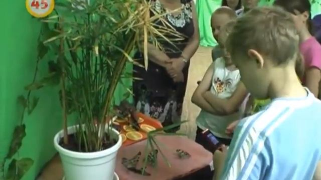 Детям полицейских — билет в тропики смотреть онлайн