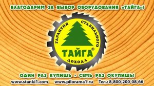 Ленточная пилорама "Тайга Т 3, пилит девушка