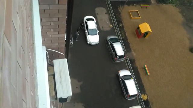 Какашки надо убирать краснодар смотреть онлайн