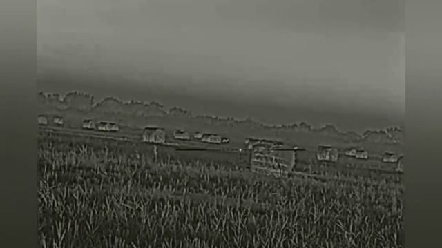 Охота на волка. Добыт молодой кобель!!! Результат хорошей работы!!! смотреть онлайн