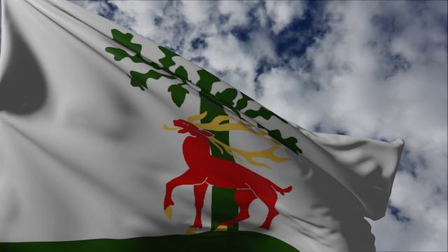 Флаг муниципалитета Алингсос