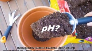 Какой должна быть земля для цветов комнатных — кислая или щелочная