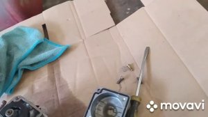 Не заводится лодочный мотор .