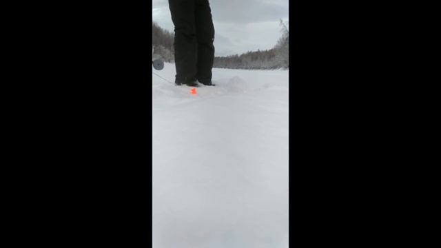 Река Лозьва район поселка Понил март 2017