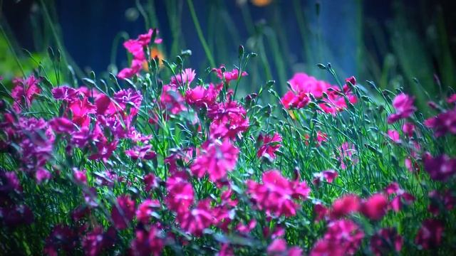 Купить квартиру смотреть онлайн