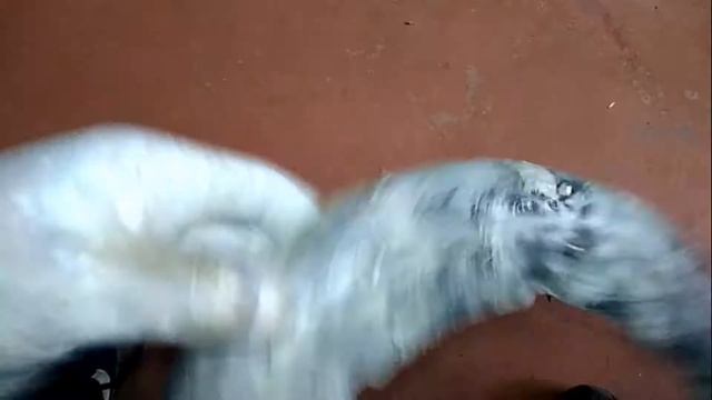 восстановление защитного кожуха тормозных дисков смотреть онлайн