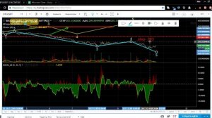 BitcoinGold, IOTA, Ethereum Classic, BitcoinCash, NEM, Waves и Ethereum | Обзор TSI Analytics