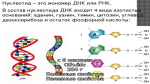 Кисломолочная смесь Агуша 2, последующая адаптированная