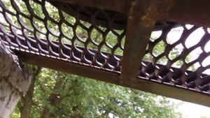 Обработка пушечным салом 1 год спустя.Что с ним стало.