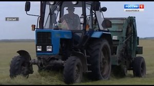 Старт заготовки сена