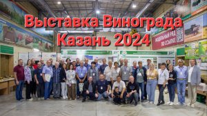 Выставка винограда Казань 2024