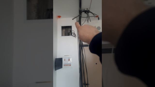 Репина 77