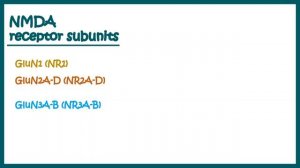 NMDA receptors | How do NMDA receptors work? What happens when you block NMDA receptors? NMDA in LT