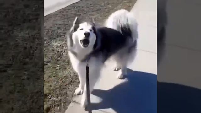 Точь-в-точь👍😂😂😂