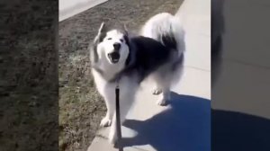 Точь-в-точь👍😂😂😂