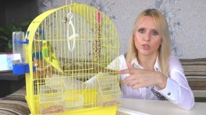 КЛЕТКА ДЛЯ ПОПУГАЯ/Выбираем КЛЕТКУ для ПОПУГАЯ ПРАВИЛЬНО/Как ВЫБРАТЬ КЛЕТКУ для ПОПУГАЯ