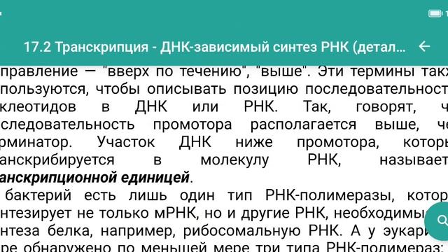 Стадии транскрипции: инициация, элонгация, терминация для ЕГЭ по биологии