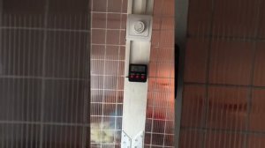 Датчики температуры и влажности в брудере,установка димера.