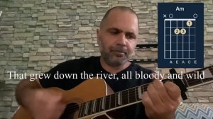 Where the Wild Roses Grow guitar tutorial