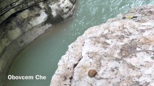 SNAIL IN PSAKHO CANYON | УЛИТКА  В КАНЬОНЕ ПСАХО