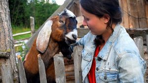 Как живут наши животные, что происходит в хозяйстве. Как залили фундамент (Жизнь в деревне)