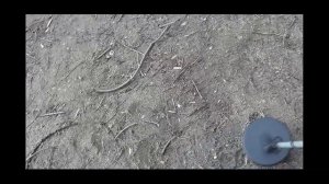 поиск клада на пляже 1 день
