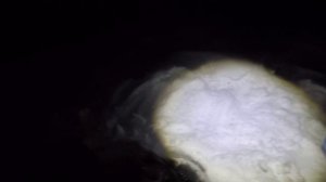 Дуплет за дуплетом. Трофейный лещ. Рыбалка на Оби в Сузуне. День третий.