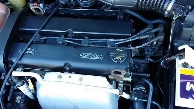 Motor ford focus 2003 Zetec16V смотреть онлайн