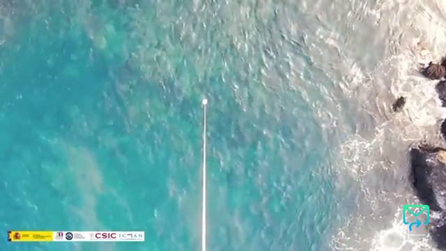 Así se ve la lava del Volcán La Palma más cerca que nunca antes смотреть онлайн