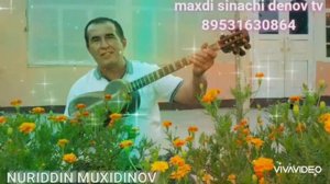Nuriddin Muhiddinov🎶🎶Dar g"aribi gashtam nadidam rohate🎶🎶