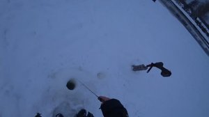 Зимняя рыбалка в Подмосковье на форель. Платная рыбалка на Гжелке