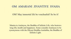 Amitayus - OM  AMARANI  JIVANTIYE  SVAHA