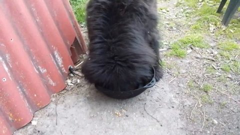 Глаша завтракает