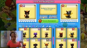 Котики "Обзор игры"