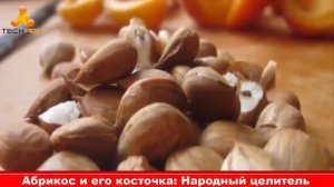 Абрикос и его косточка: Народный целитель