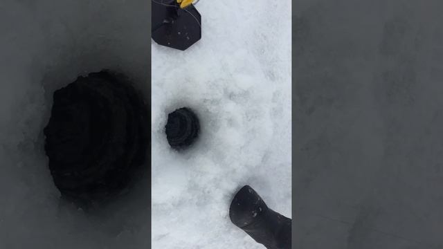 озеро Зайсан смотреть онлайн