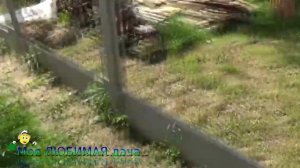 КРАСИВЫЙ ОБЗОР дачи  4 сотки в 2019 году