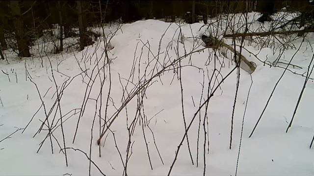 Спец заказ на Новый год! работаем вдвоём смотреть онлайн