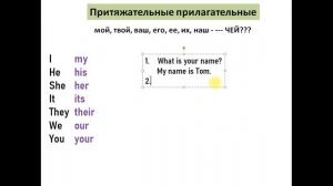 Притяжательные прилагательные в английском