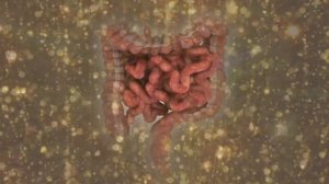 Очищение Кишечника, Медитация