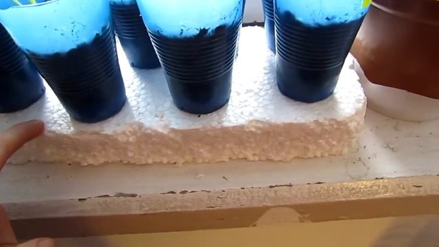 Чтобы у рассады не мерзли ножки. смотреть онлайн