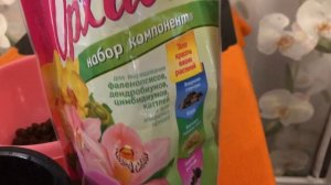 Орхидея RHONA пересадка в непрозрачный  двойной горшок ?