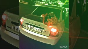 Шамиль Идрисов -  Мел Товш Хаза Кхиъна Хьо 💥💥💥💥💥