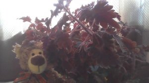 Поди туда не знаю куда, принеси то  не знаю что