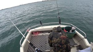 МОРСКАЯ РЫБАЛКА! Ловля камбалы с лодки на Балтийском море.