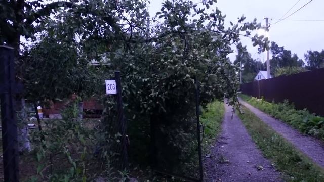 Problems at Our Dacha / Different Russia смотреть онлайн